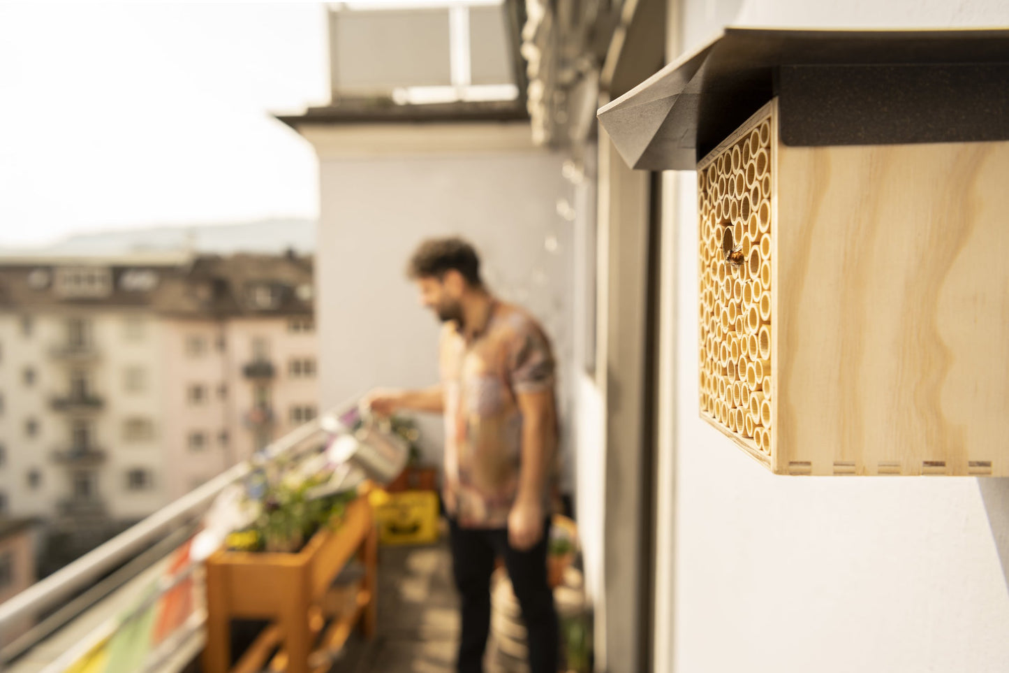 5 Tipps & Tricks für mehr Biodiversität auf dem Balkon