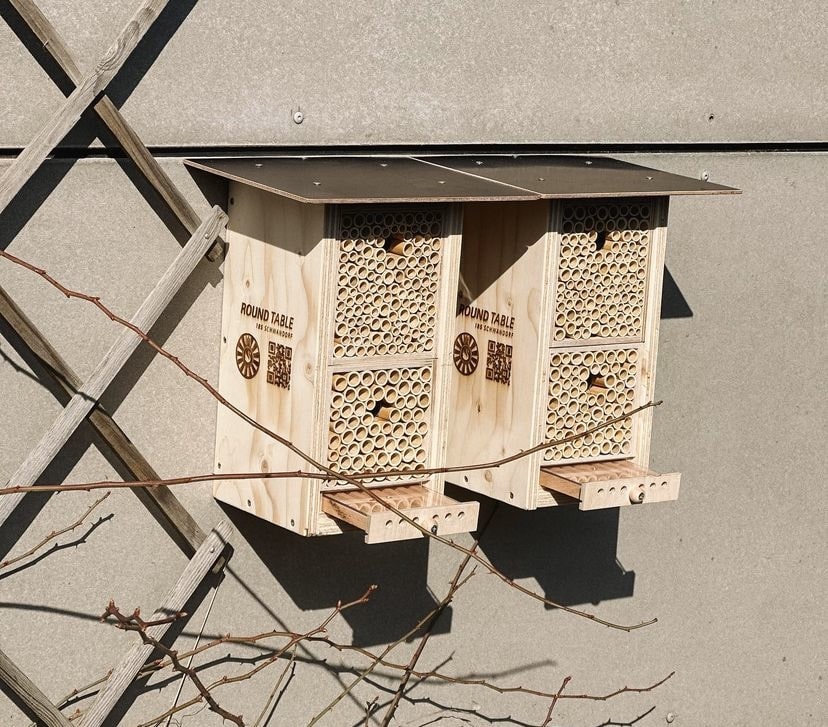 BeeHomes beflügeln Schulen und Kindergärten im Landkreis Schwandorf