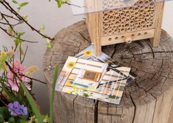 BeeHome Wildbienen-Häuschen