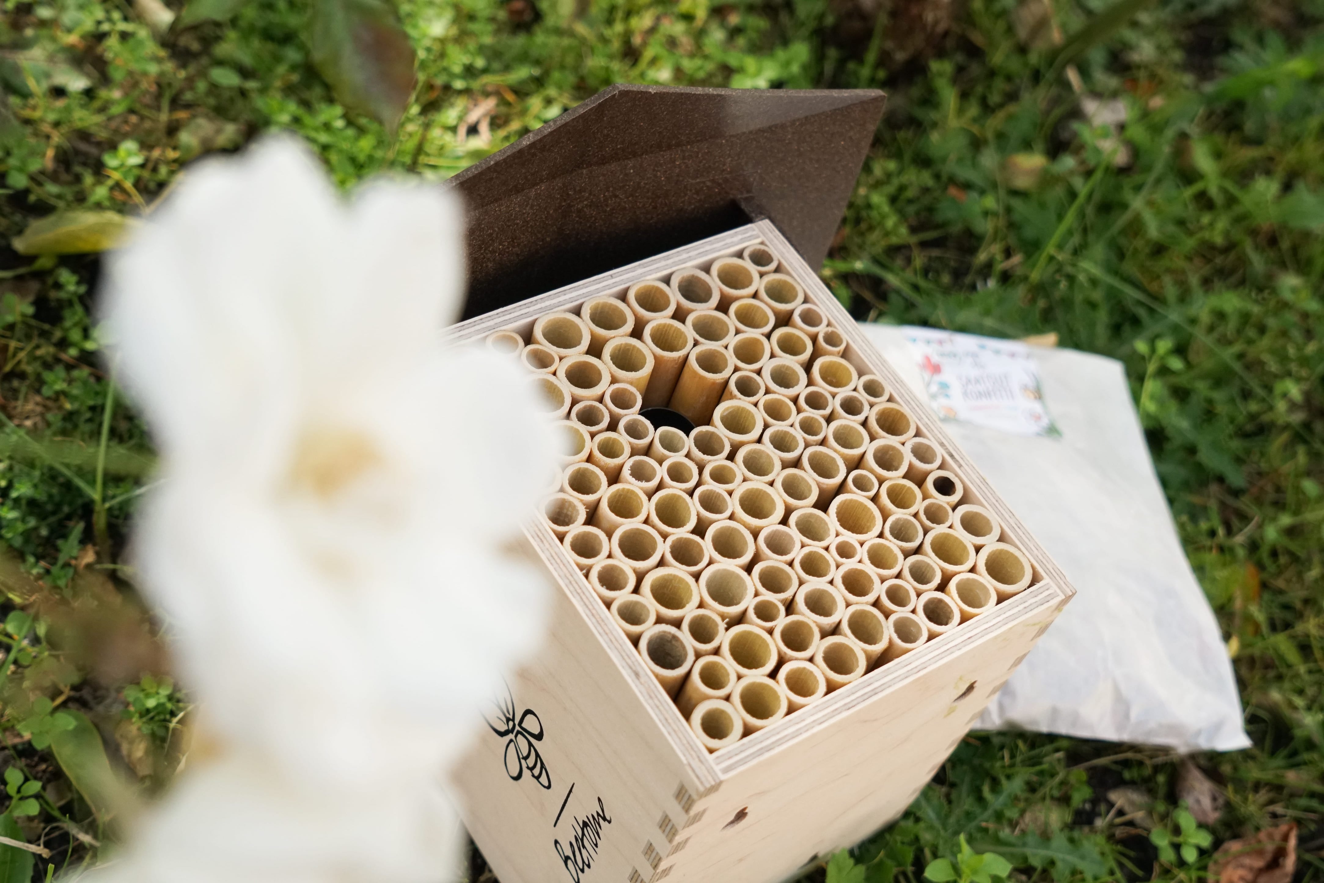 BeeHome Wildbienen-Häuschen