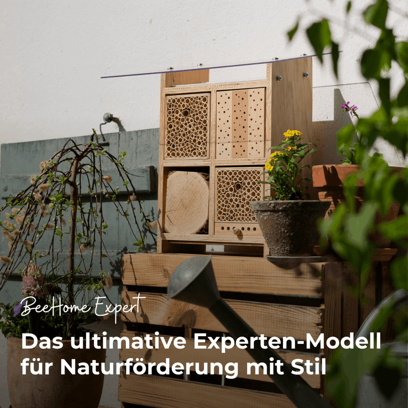 BeeHome Expert