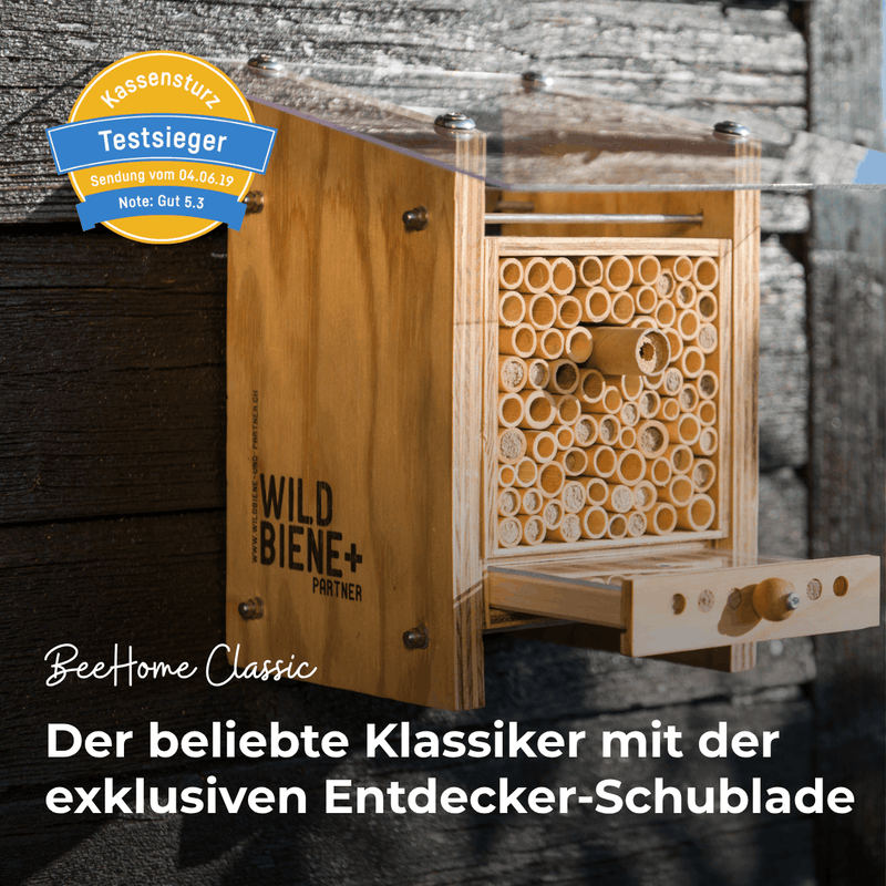 BeeHome Classic