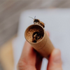 Gutschein für Mauerbienenkokons