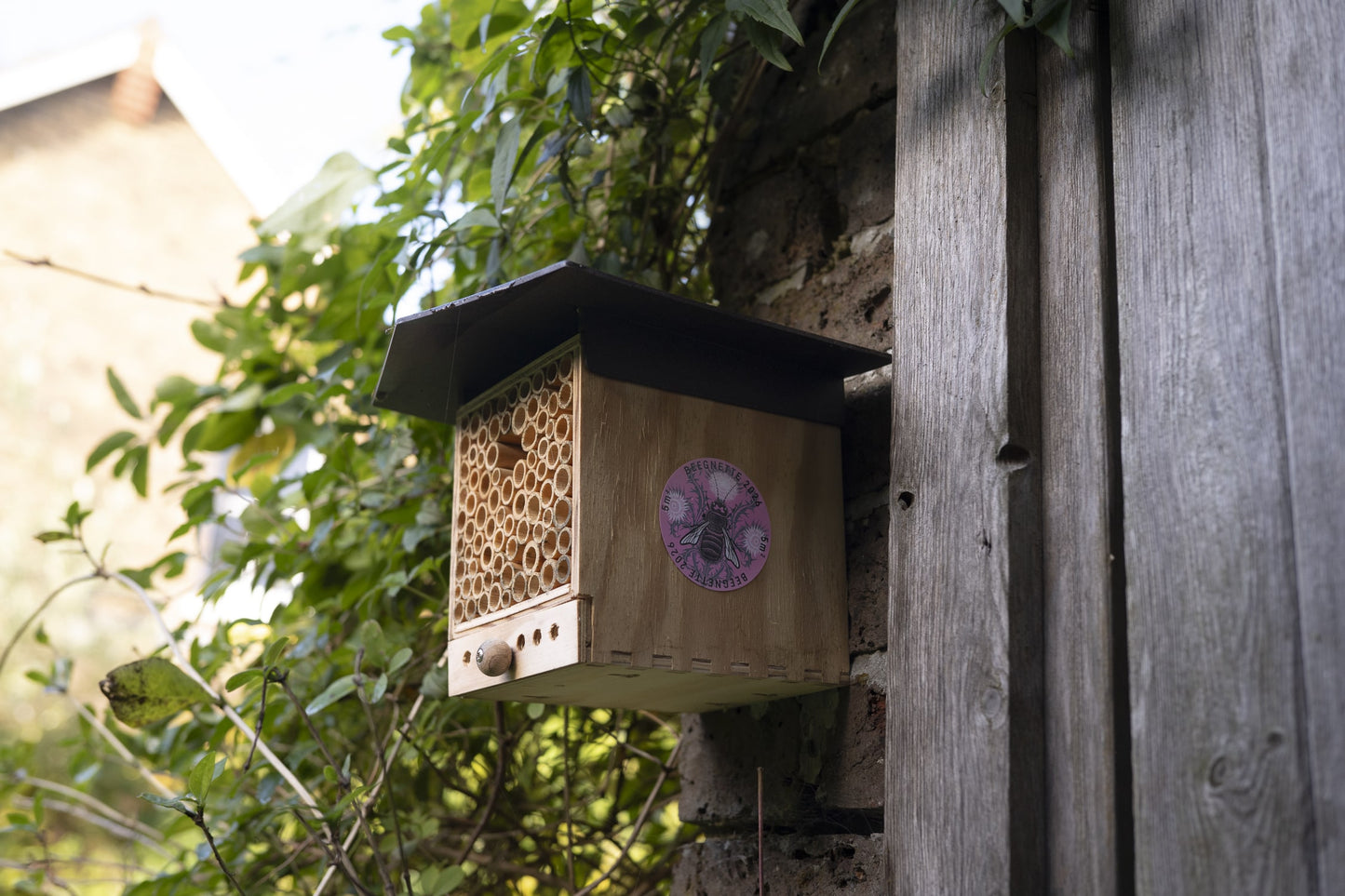 
                  
                    Blühpatenschaft Beegnette 2026
                  
                