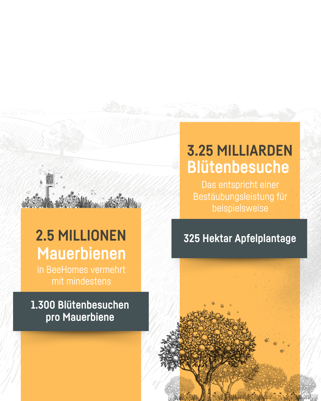 Kleine Bestäuber mit grosser Wirkung