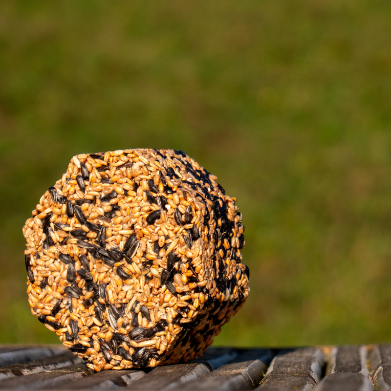 Vogelhaus BirdSnack