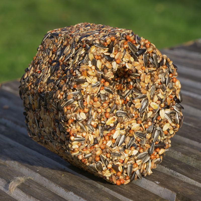 Vogelhaus BirdSnack