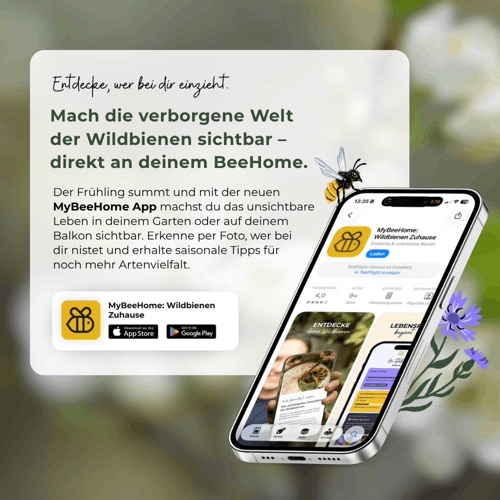 
                  
                    BeeHome Compact
                  
                