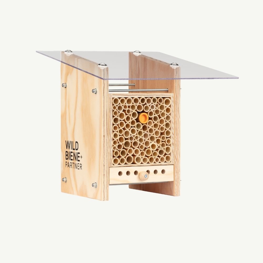 
                  
                    BeeHome Classic
                  
                