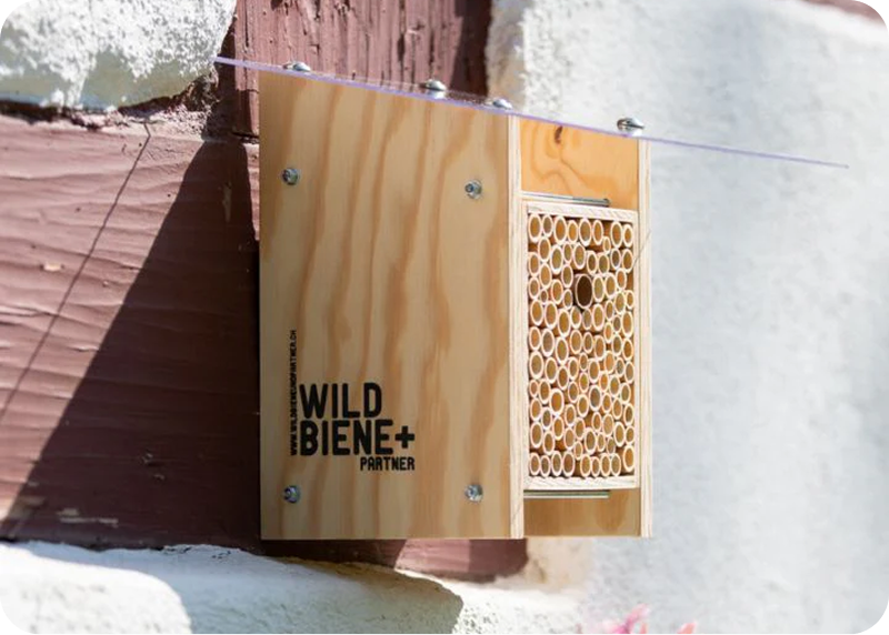 Wildbiene - Partner GmbH