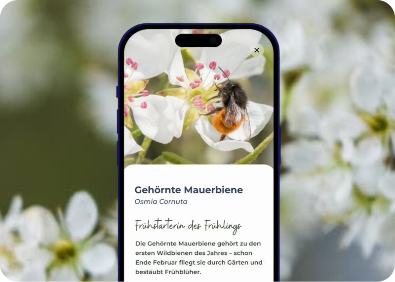 Wildbiene - Partner GmbH