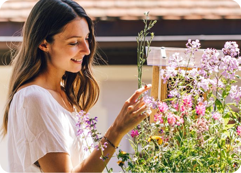 Wildbiene - Partner GmbH