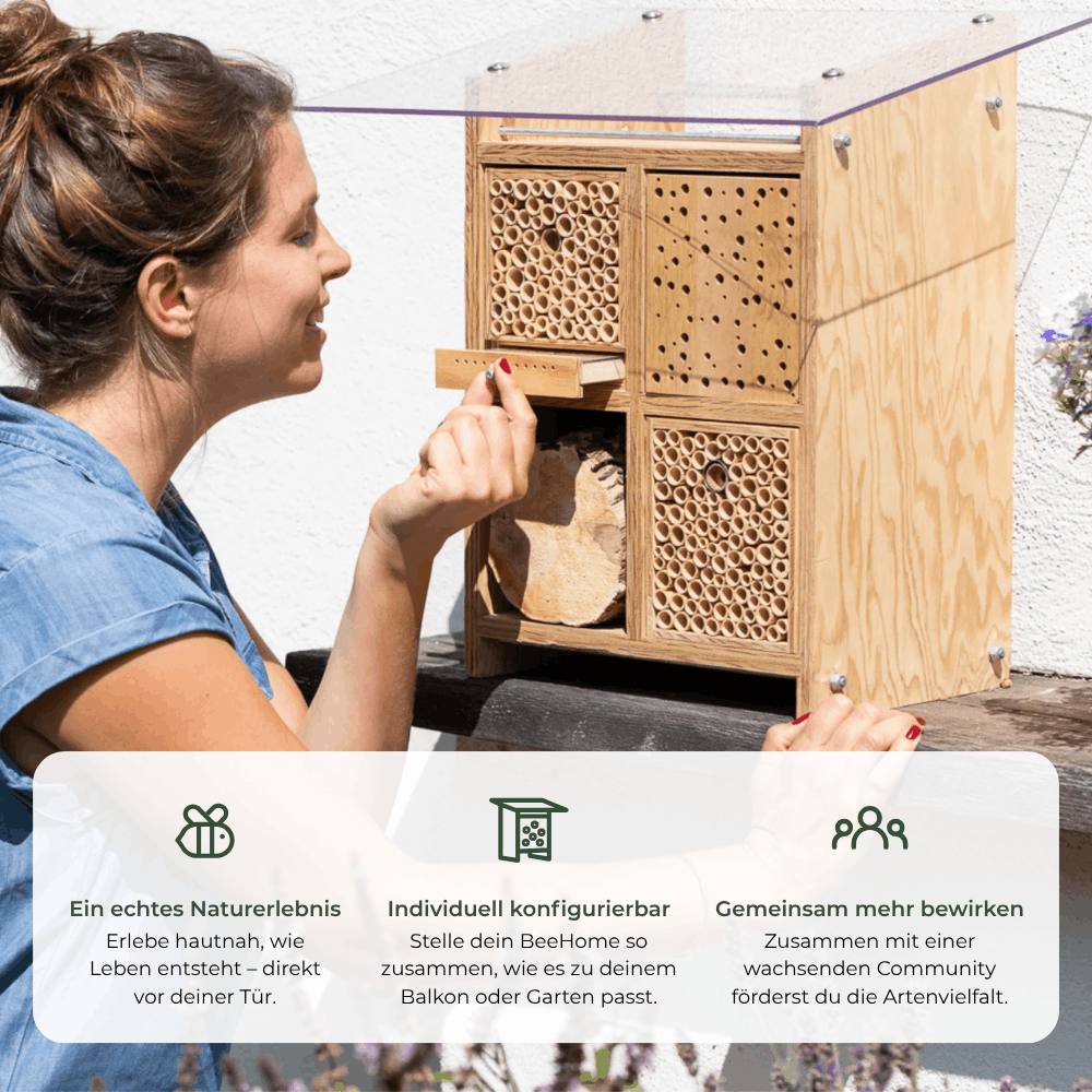
                  
                    BeeHome Compact
                  
                