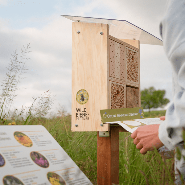 Blühpatenschaft Beegnette 2026