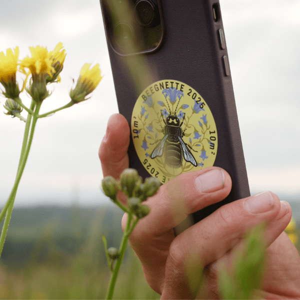 Blühpatenschaft Beegnette 2026