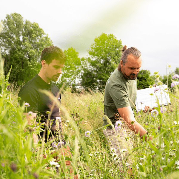 Blühpatenschaft Beegnette 2026