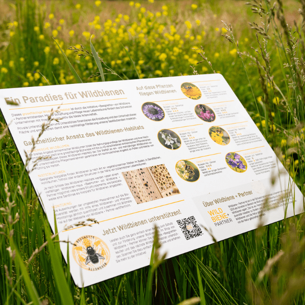 Blühpatenschaft Beegnette 2026