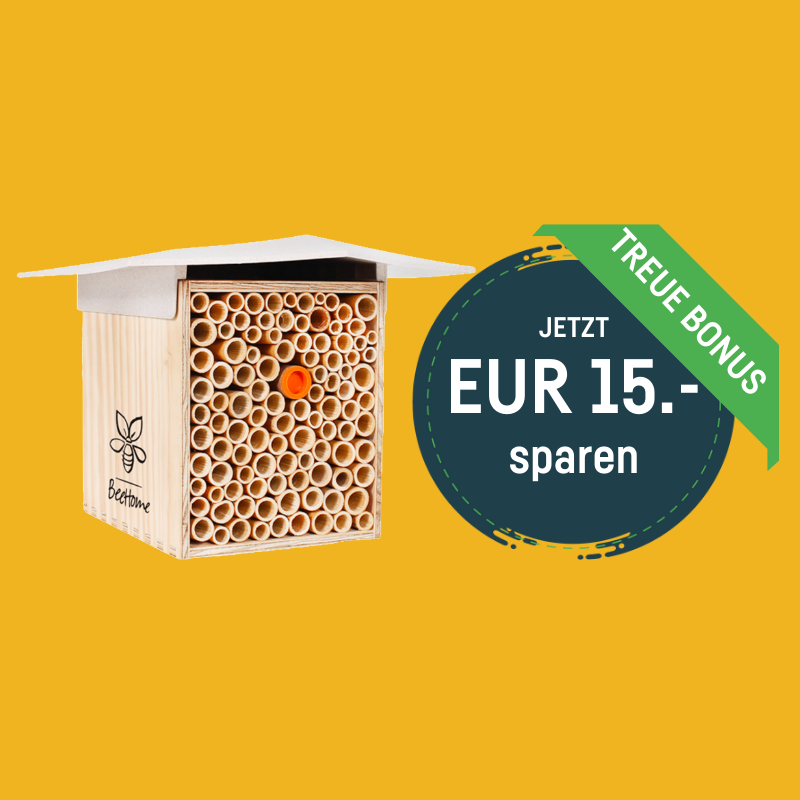 BeeHome One - Sonderpreis auf MyBeeHome