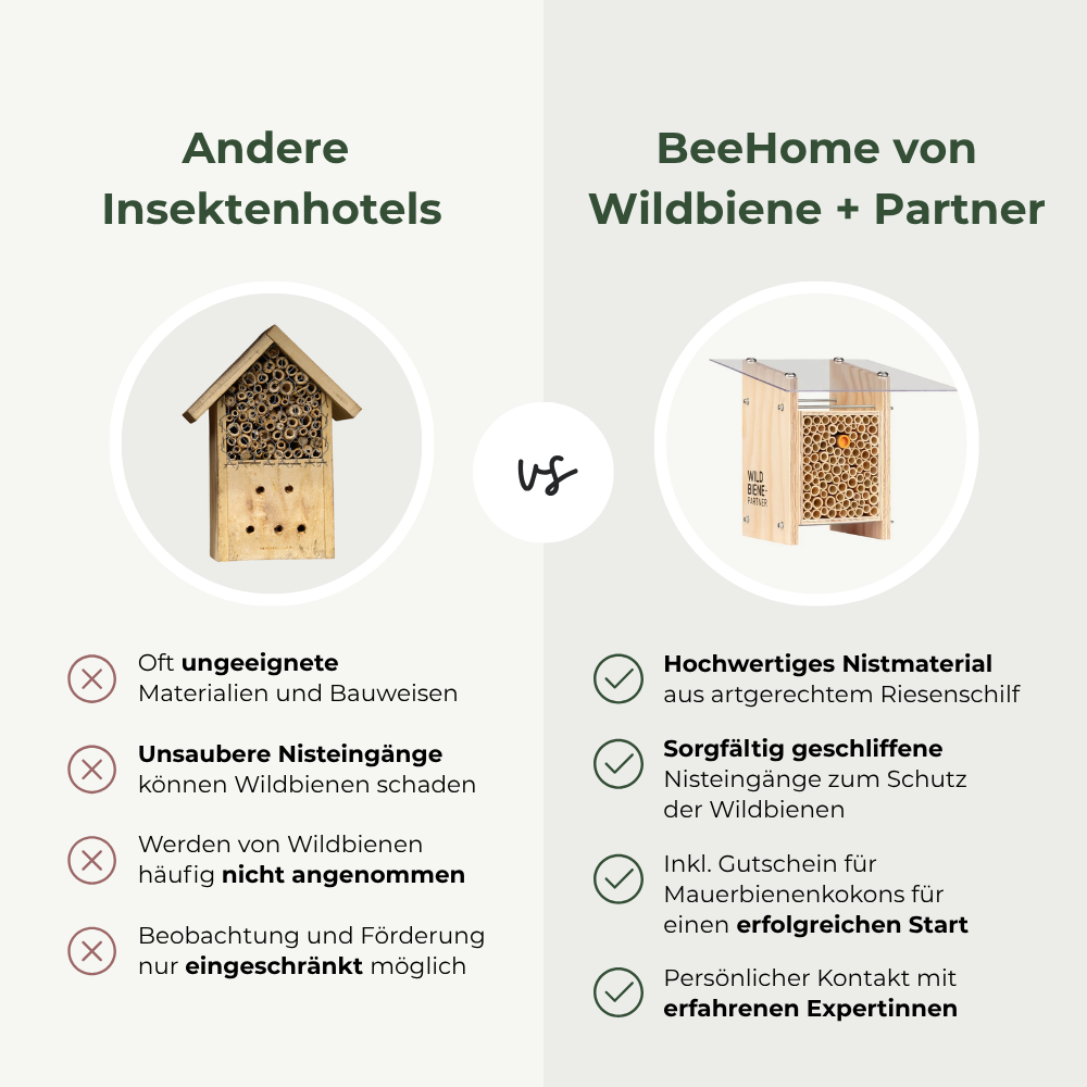
                  
                    BeeHome Compact
                  
                