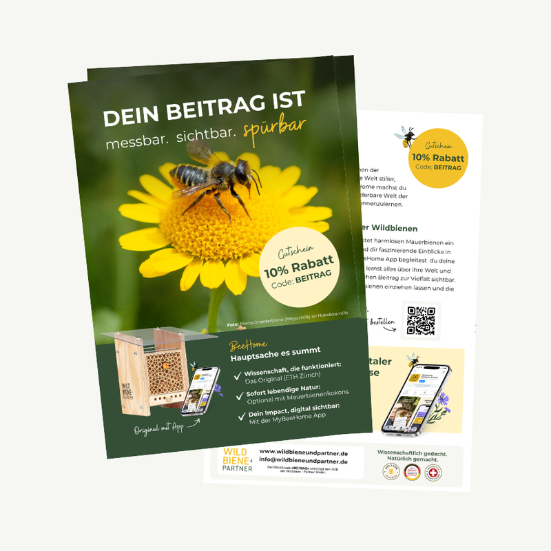 Bienen-Botschafter Flyer