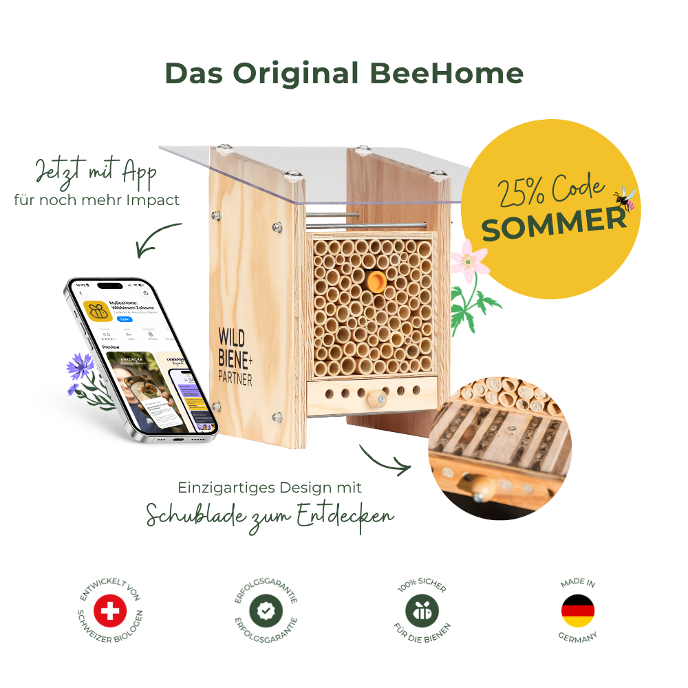Wildbiene - Partner GmbH