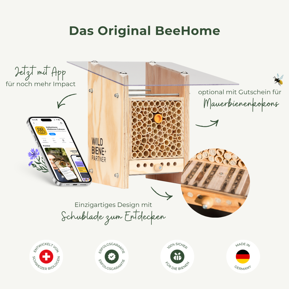 
                  
                    BeeHome Compact
                  
                