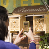 Gutschein für Mauerbienenkokons
