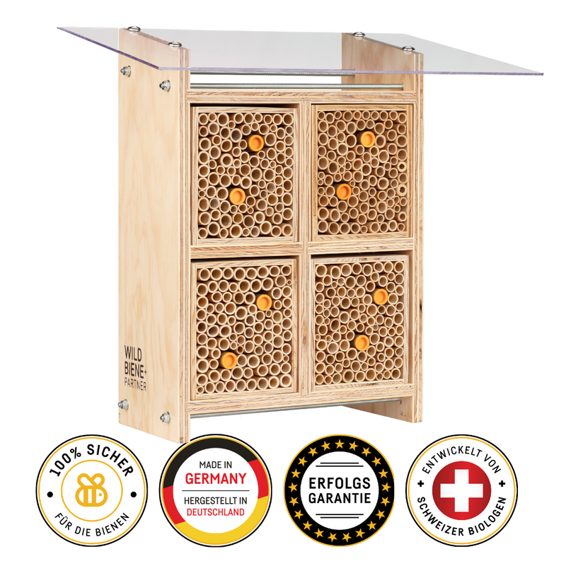 BeeHome Pro