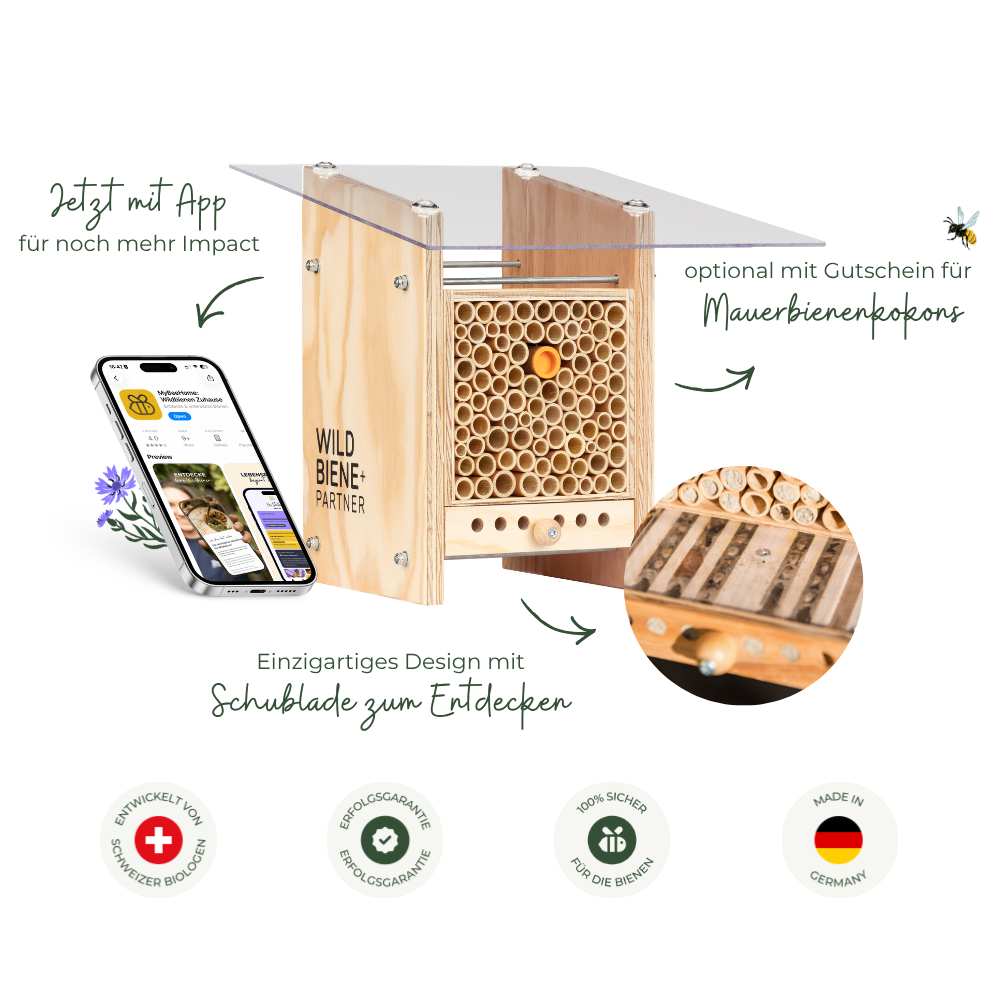 Wildbiene - Partner GmbH