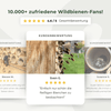 Gutschein für Mauerbienenkokons