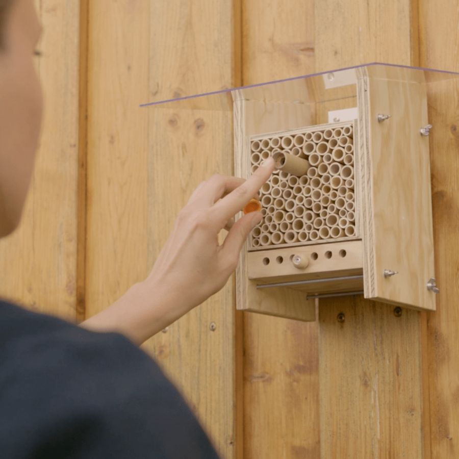 
                  
                    Gutschein für Mauerbienenkokons
                  
                