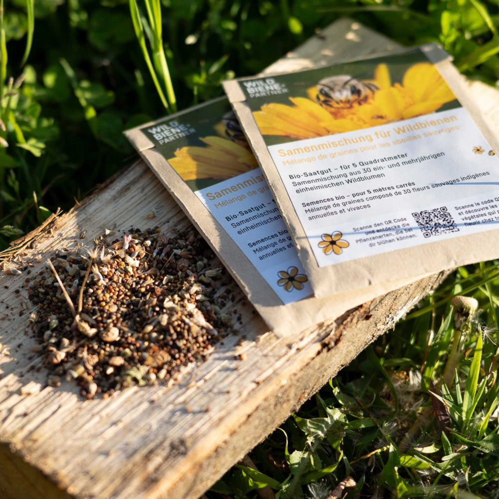 
                  
                    Samenmischung für Wildbienen 🐝
                  
                