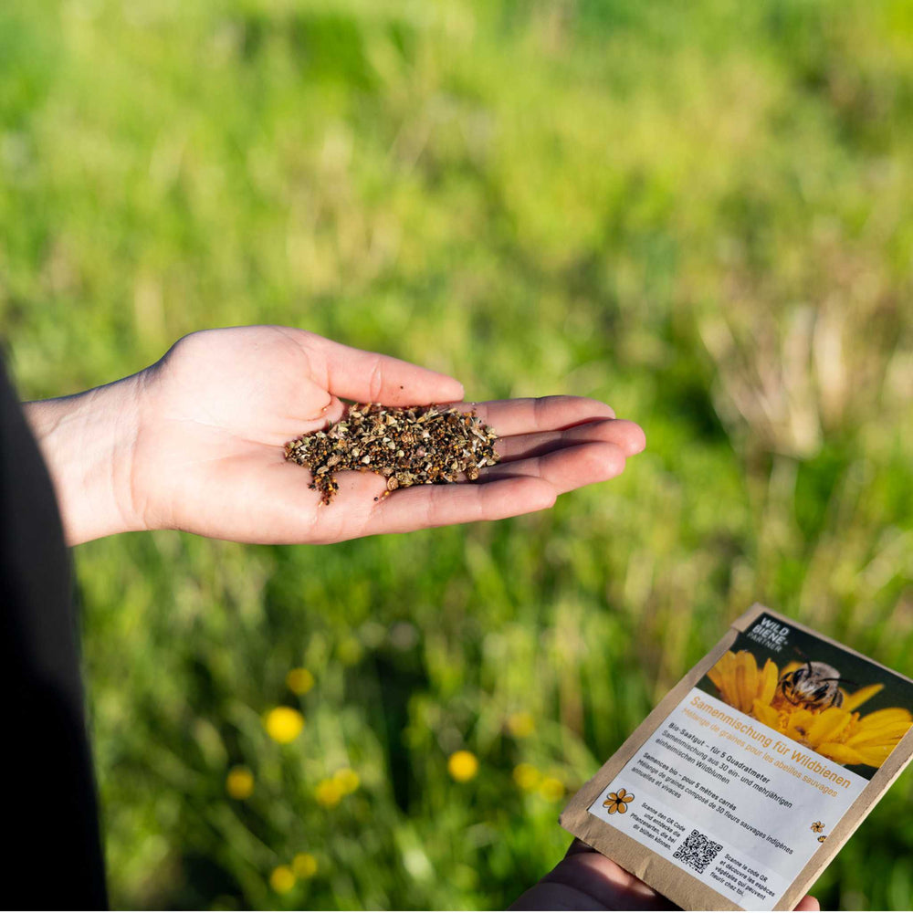 
                  
                    Samenmischung für Wildbienen 🐝
                  
                