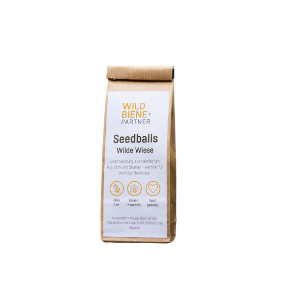 6 Seedballs “Wilde Wiese” – Wildbiene