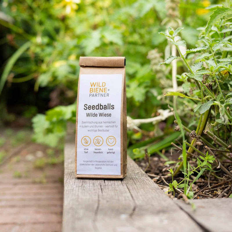 6 Seedballs “Wilde Wiese”
