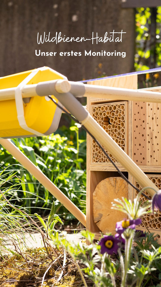 Wildbienen Monitoring