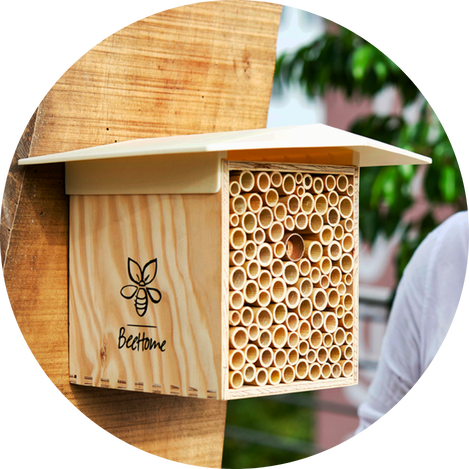 Bienenhotels