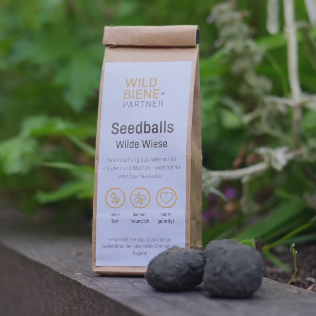 
                  
                    Laden und Abspielen von Videos im Galerie-Viewer, 6 Seedballs “Wilde Wiese”
                  
                