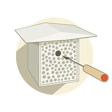 
                  
                    Startpopulation - Rostrote Mauerbiene
                  
                