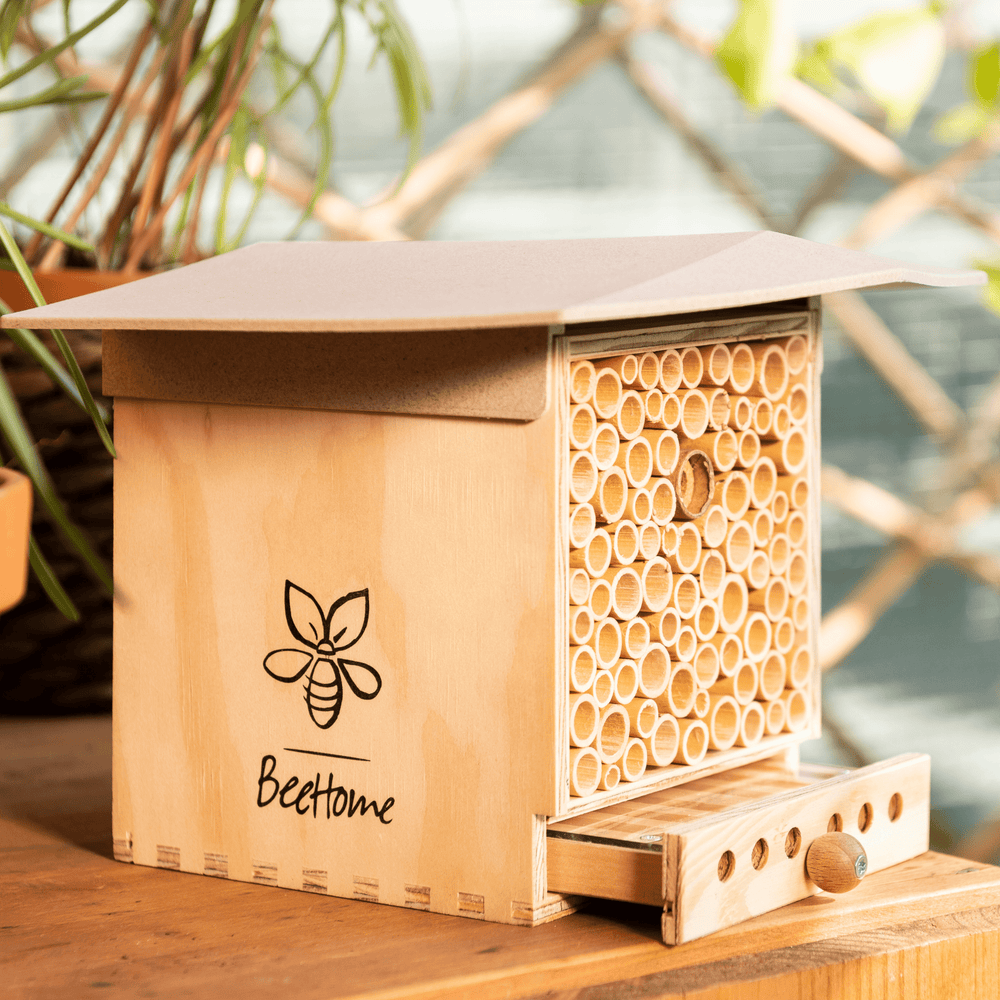 BeeHome Observer