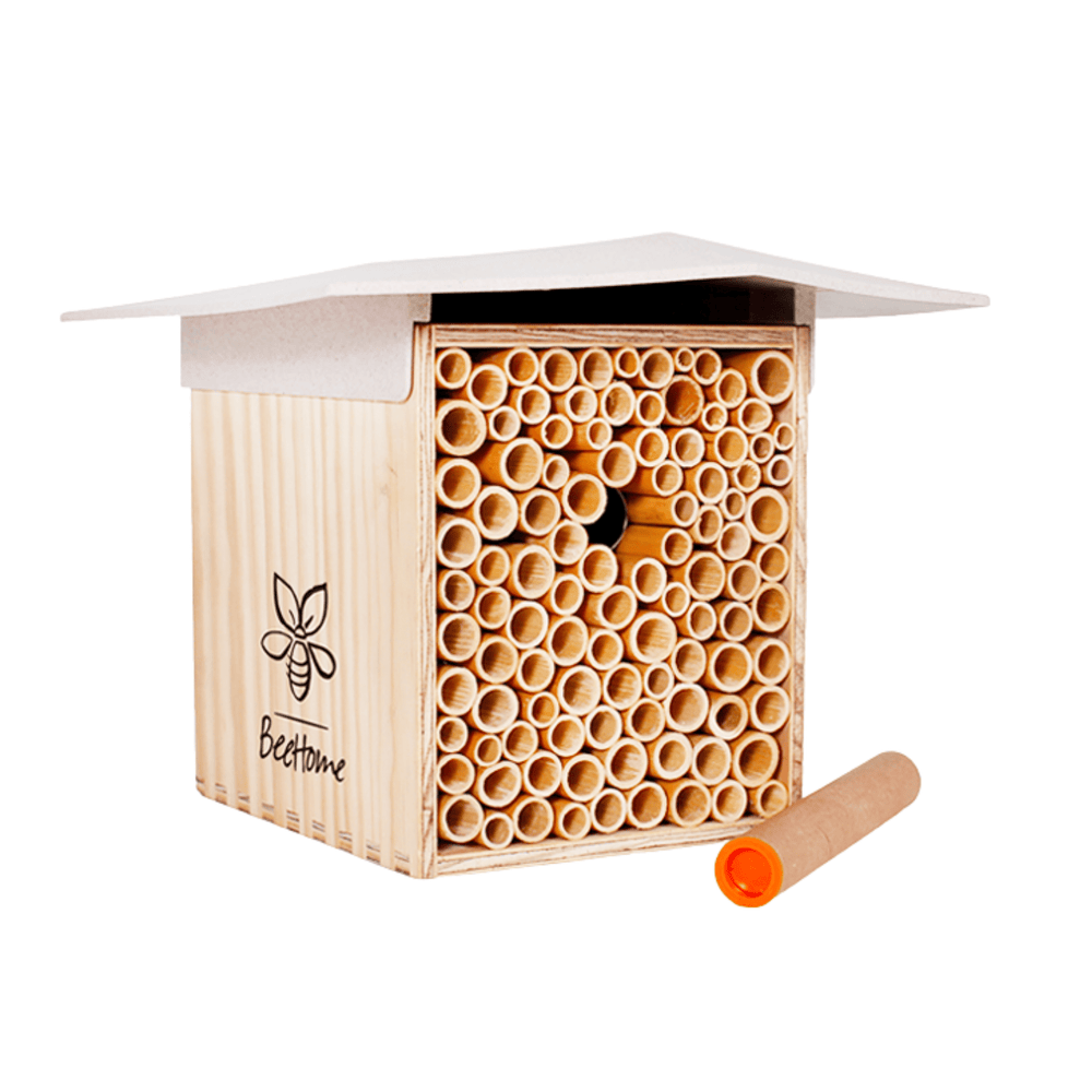 
                  
                    BeeHome One - Sonderpreis auf MyBeeHome
                  
                