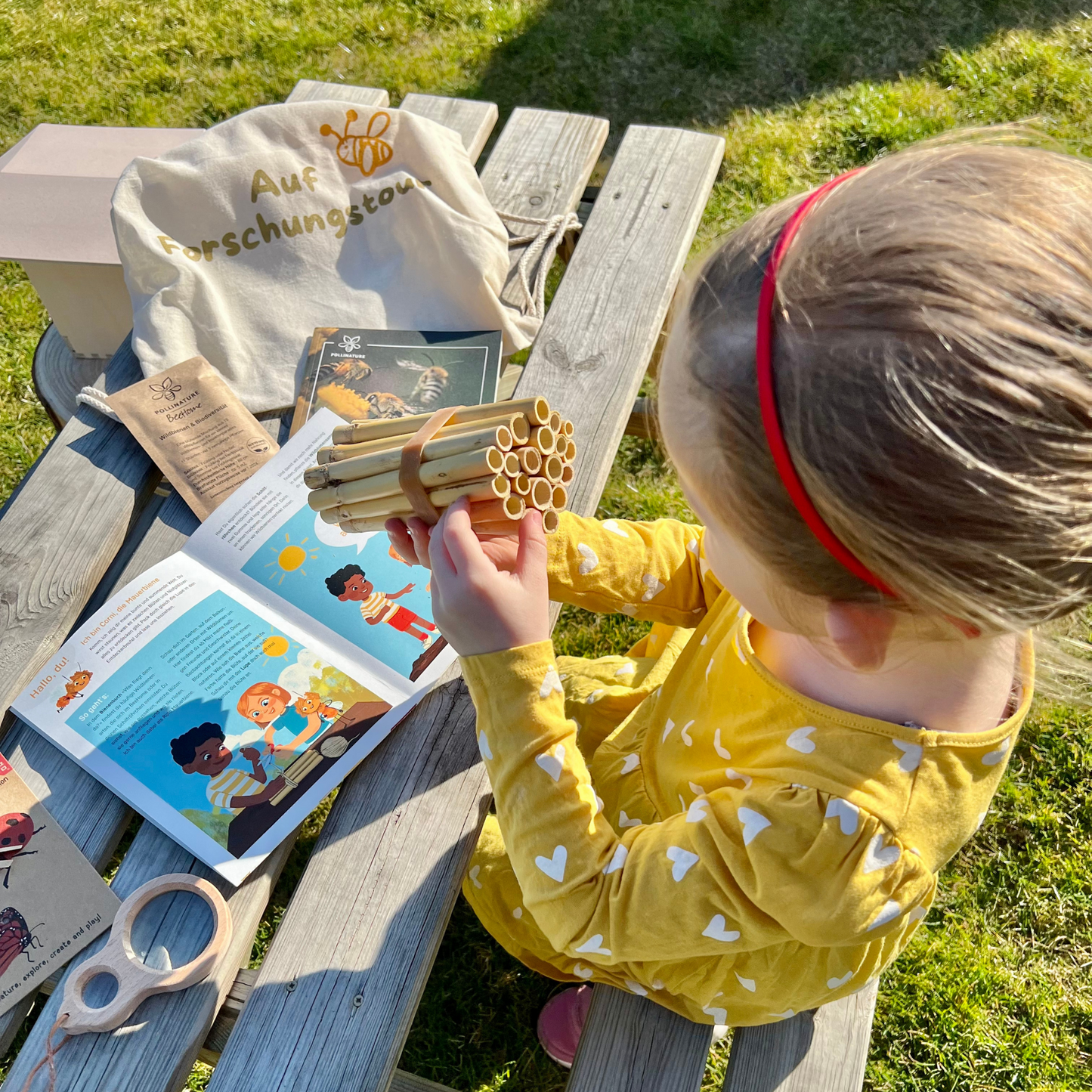 
                  
                    BeeKind -  Forschungsset für Kinder
                  
                