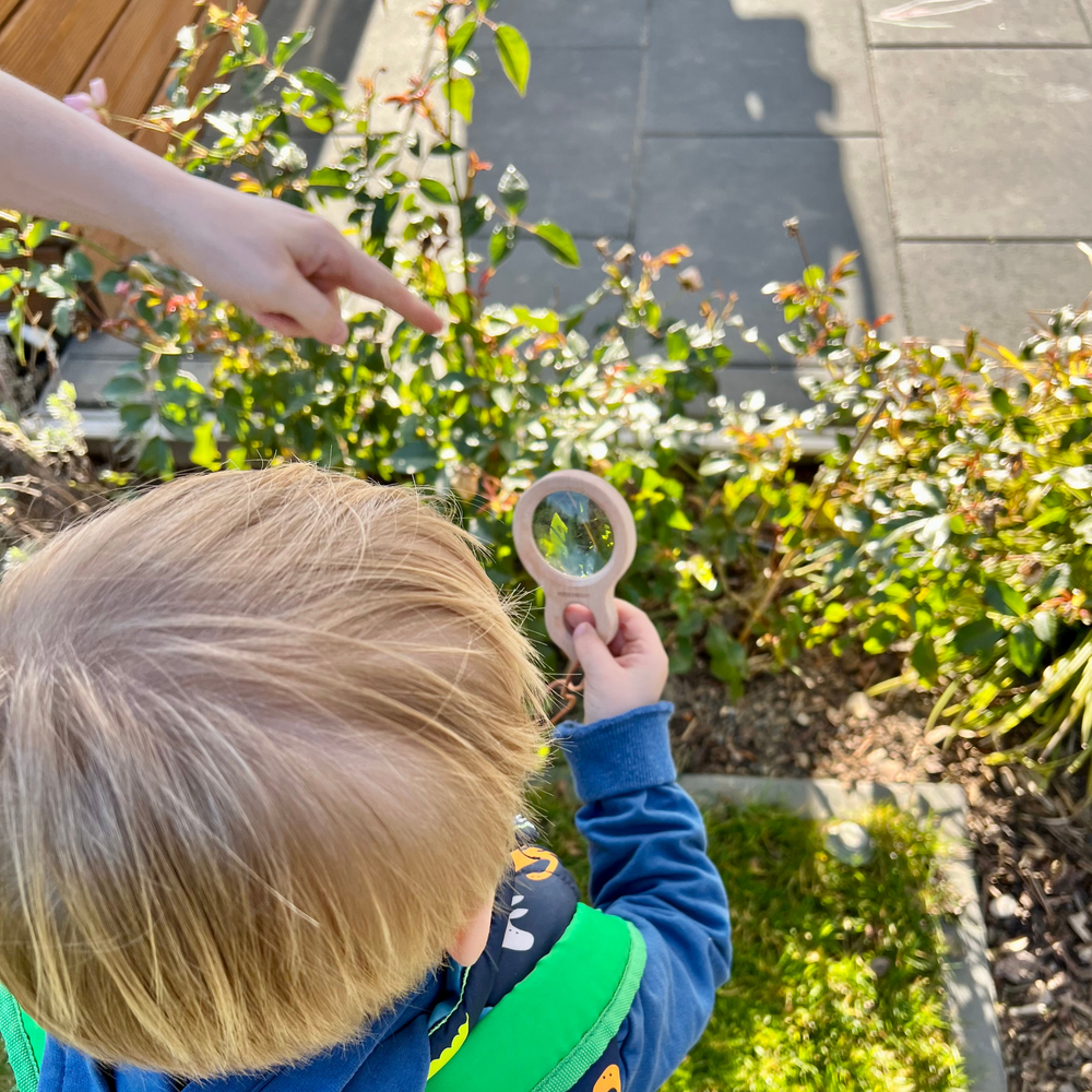 
                  
                    BeeKind -  Forschungsset für Kinder
                  
                