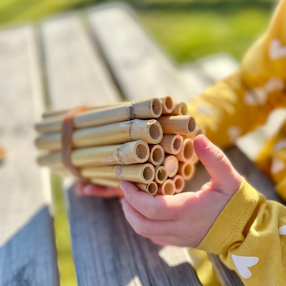 
                  
                    BeeKind -  Forschungsset für Kinder
                  
                