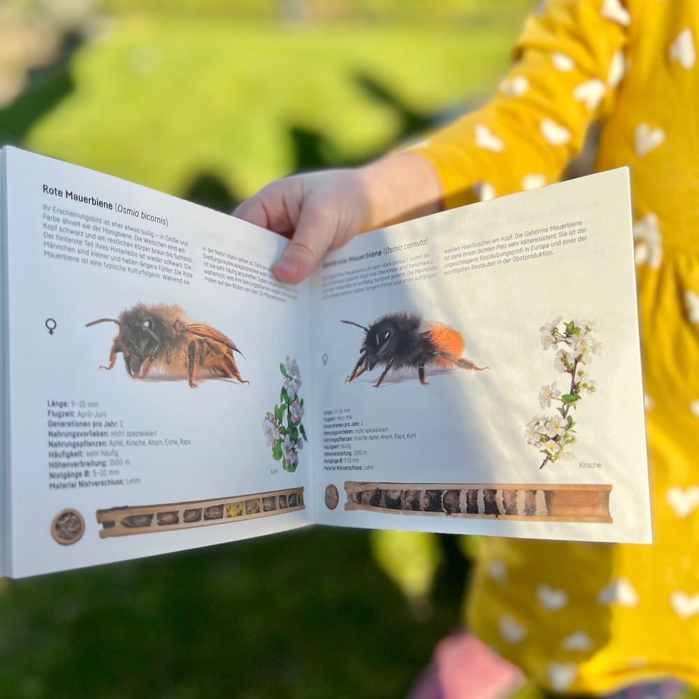 
                  
                    BeeKind -  Forschungsset für Kinder
                  
                