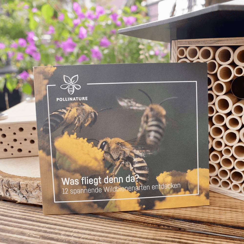 Wildbienen-Booklet