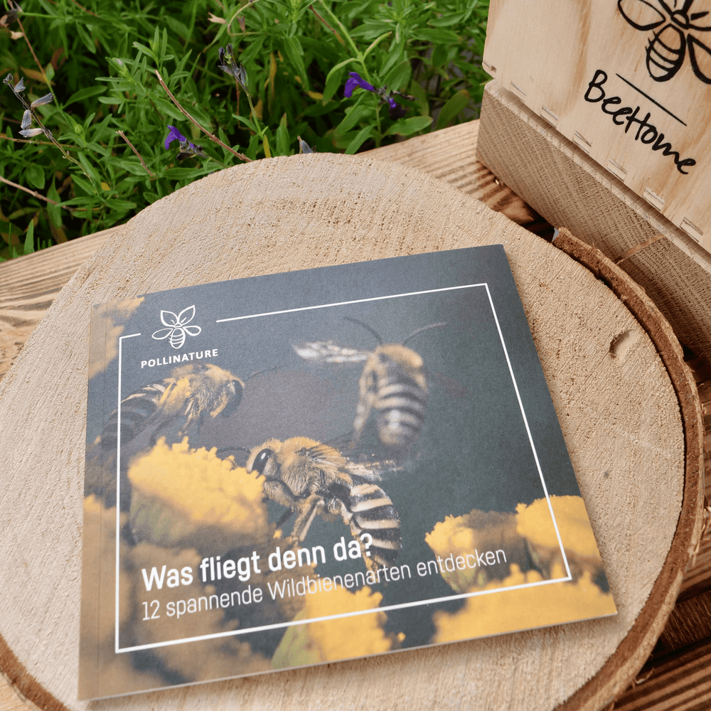 
                  
                    Wildbienen-Booklet
                  
                