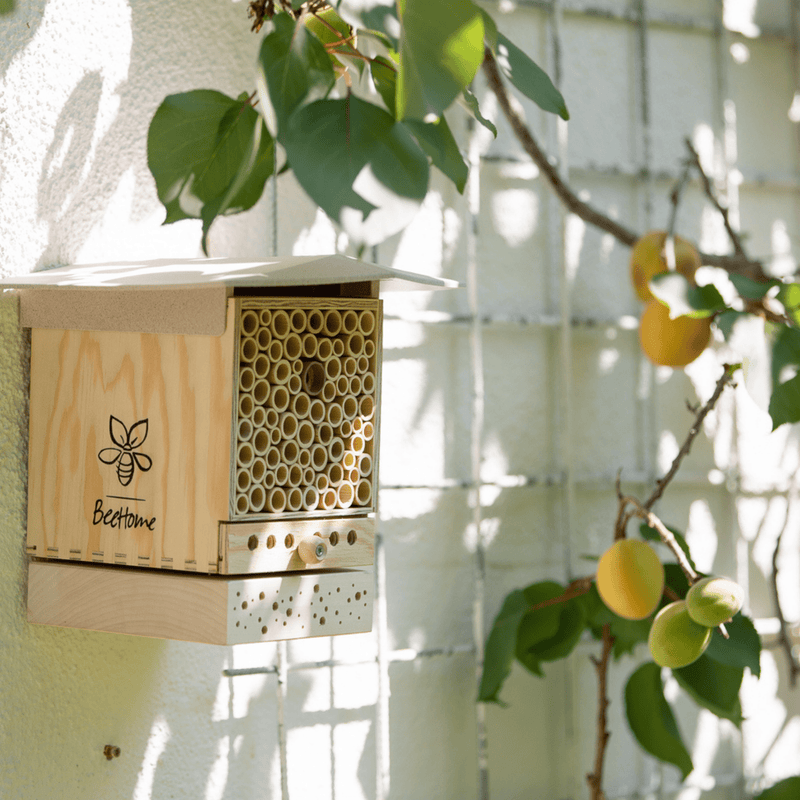 BeeSummer One Nistblock