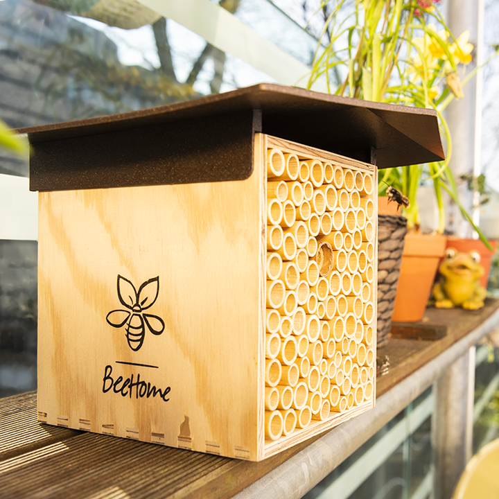 
                  
                    BeeHome One - Sonderpreis auf MyBeeHome
                  
                