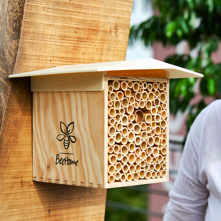 
                  
                    BeeHome One - Sonderpreis auf MyBeeHome
                  
                